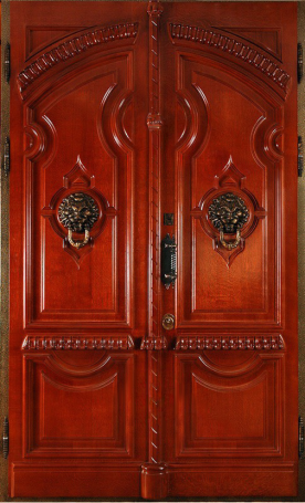 Фотография «Парадная дверь №221»